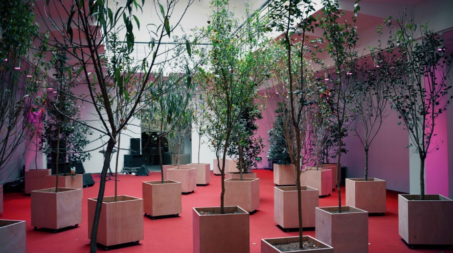 Asad Raza: Root sequence. Mother tongue, Rockbund Museum, Shanghai, 2017 © Leo Aknin Junge Bäume in quadratischen Kübeln in einem Raum mit rotem Boden