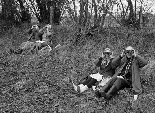 Schwarz-weiß Fotografie, auf der zwei ältere Paare auf einer Wiese unter Gebüsch sitzen und mit Ferngläsern in die Ferne schauen