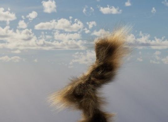 Bild eines Himmels mit Wölkchen und einem Tierschwanz, der hinter einem Stein in die Höhe ragt