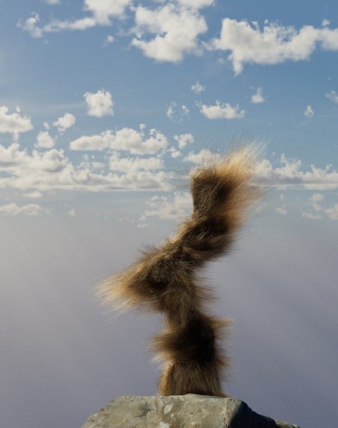 Bild eines Himmels mit Wölkchen und einem Tierschwanz, der hinter einem Stein in die Höhe ragt